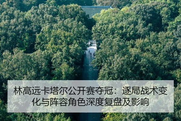 林高远卡塔尔公开赛夺冠：逐局战术变化与阵容角色深度复盘及影响
