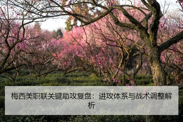 mei-xi-mei-zhi-lian-guan-jian-zhu-gong-fu-pan-jin-gong-ti-xi-yu-zhan-shu-tiao-zheng-jie-xi-2-903.jpg